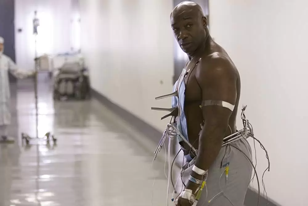 アイランドの画像