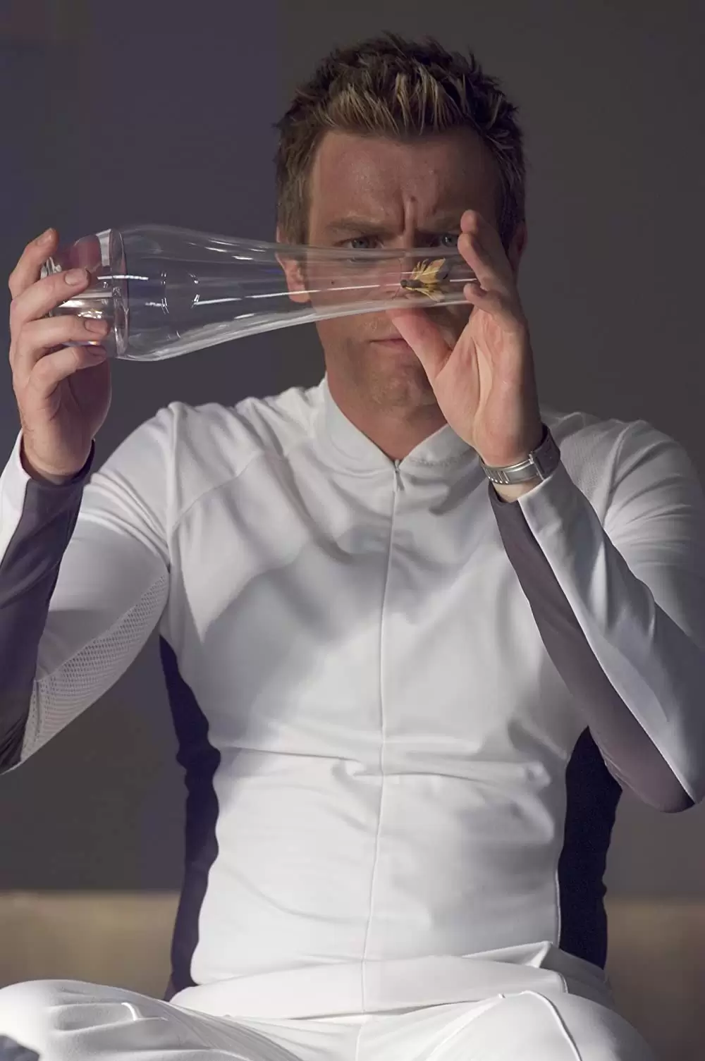 アイランドの画像