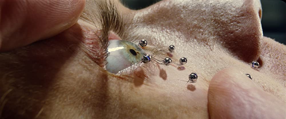 アイランドの画像