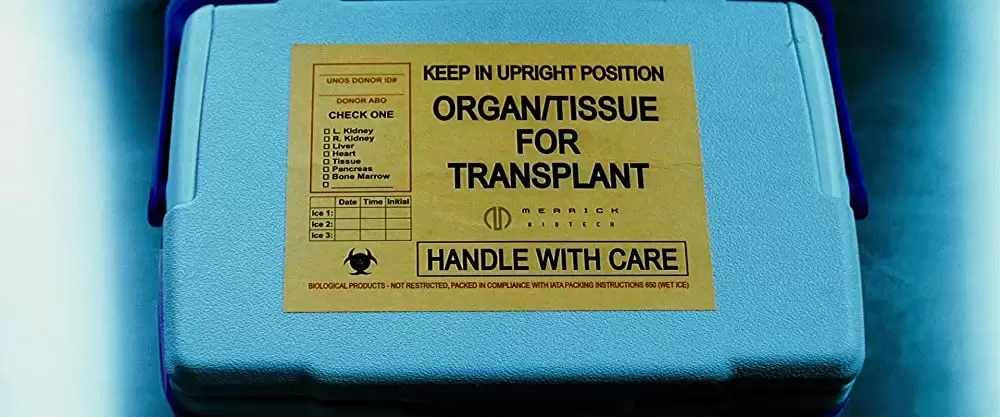 アイランドの画像