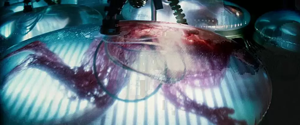 アイランドの画像