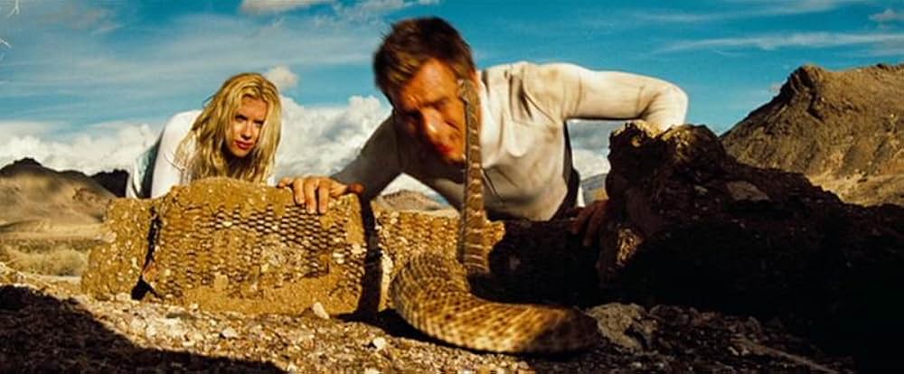 アイランドの画像