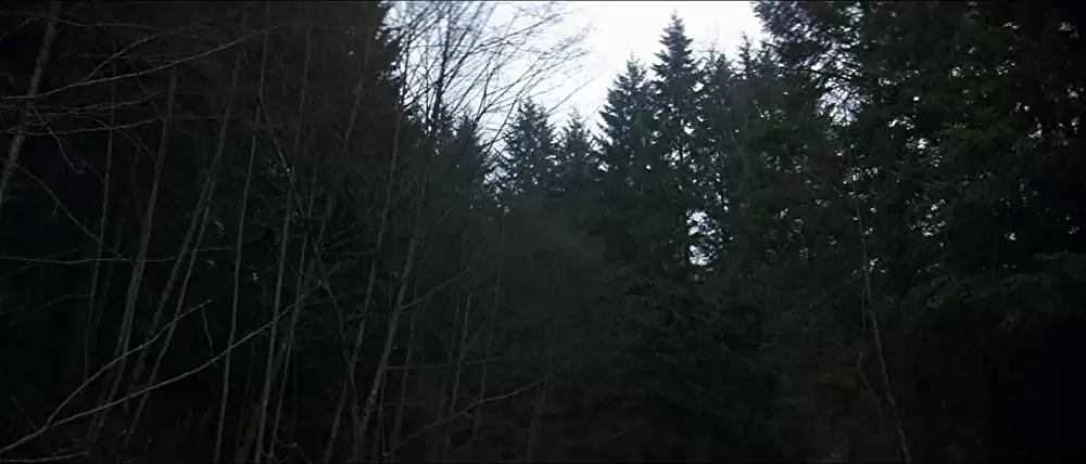 ランボーの画像