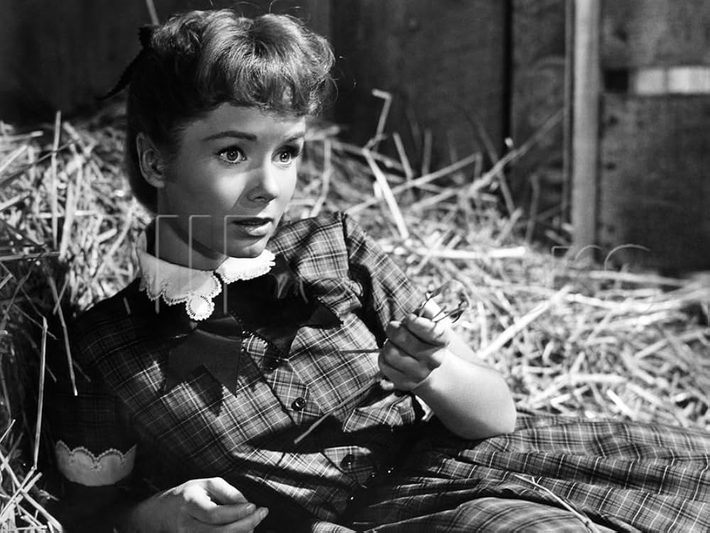 タミーと独身者の画像