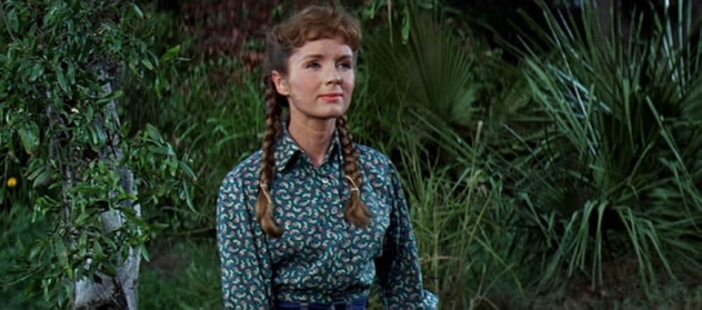 タミーと独身者の画像