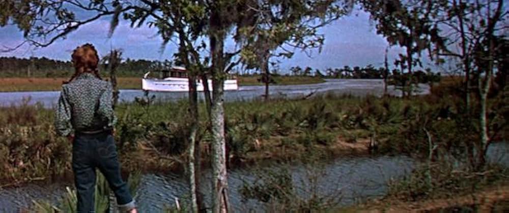 タミーと独身者の画像