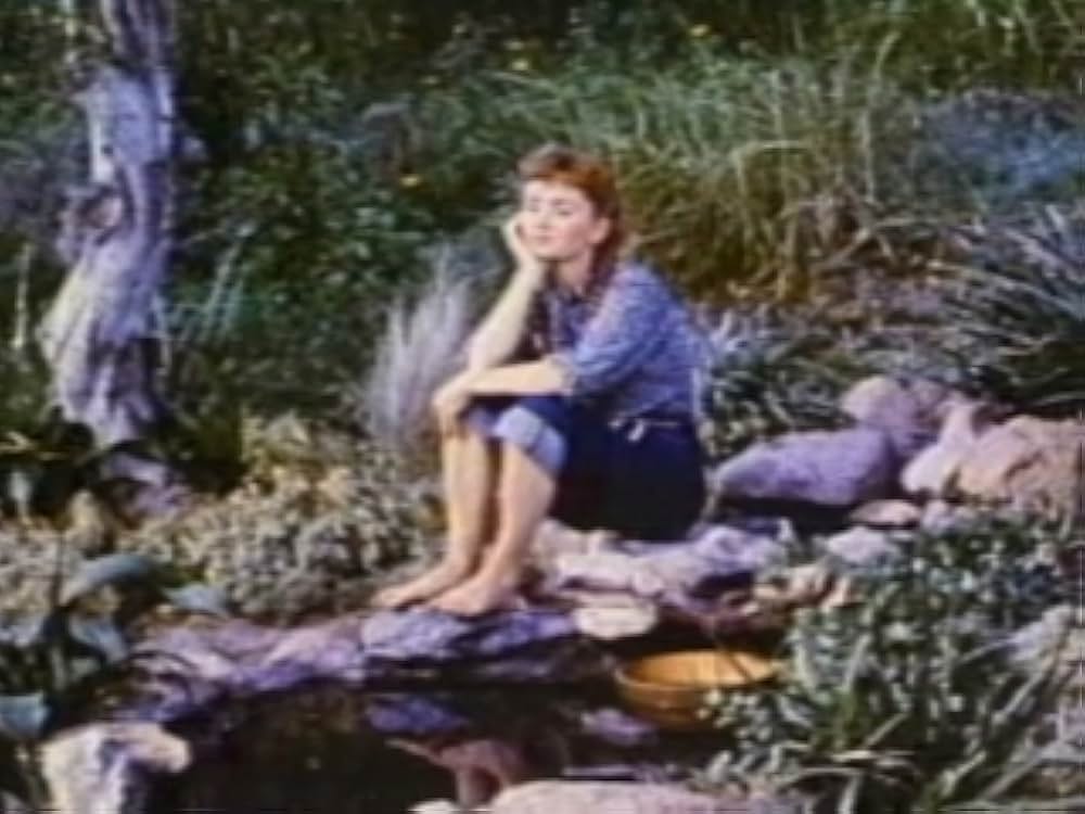 タミーと独身者の画像