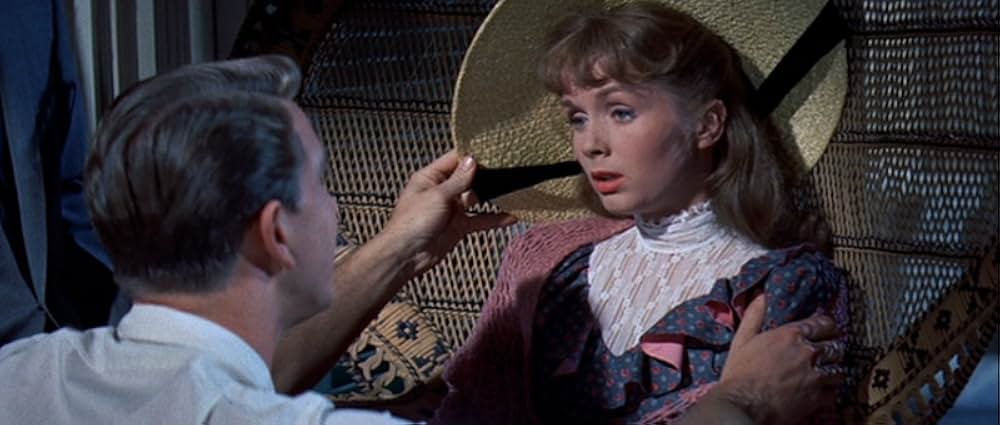 タミーと独身者の画像