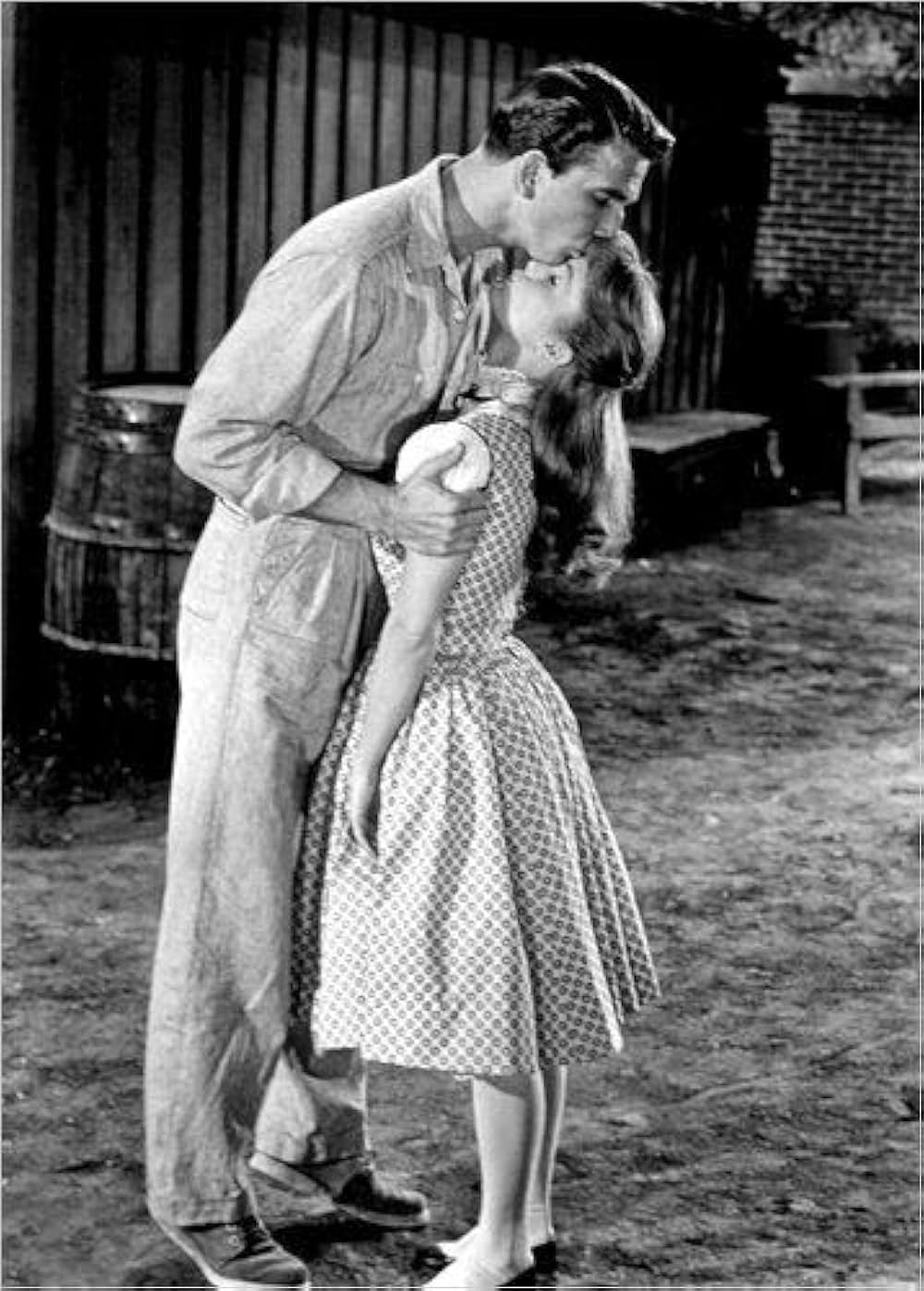 タミーと独身者の画像