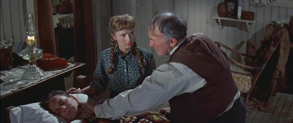 タミーと独身者の画像