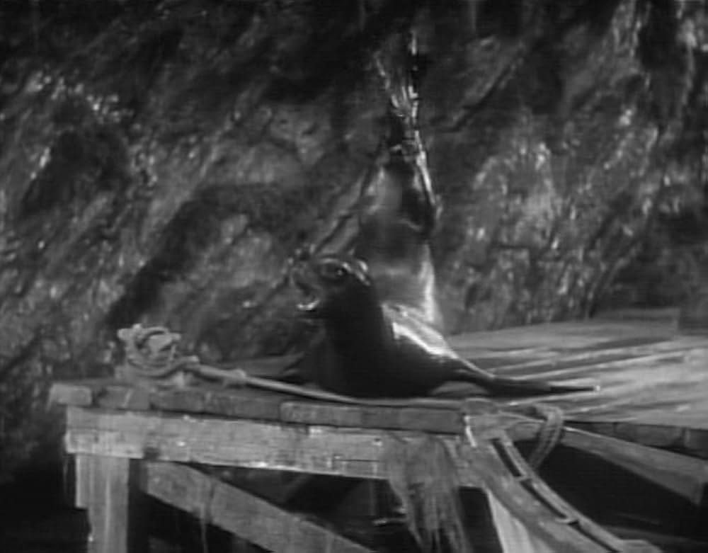 彼女はゴーストの画像