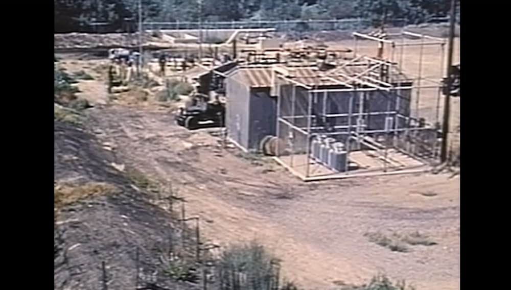 ナチス・クローンの画像