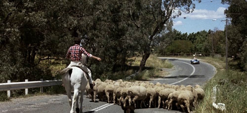 ウインド・ライダーの画像