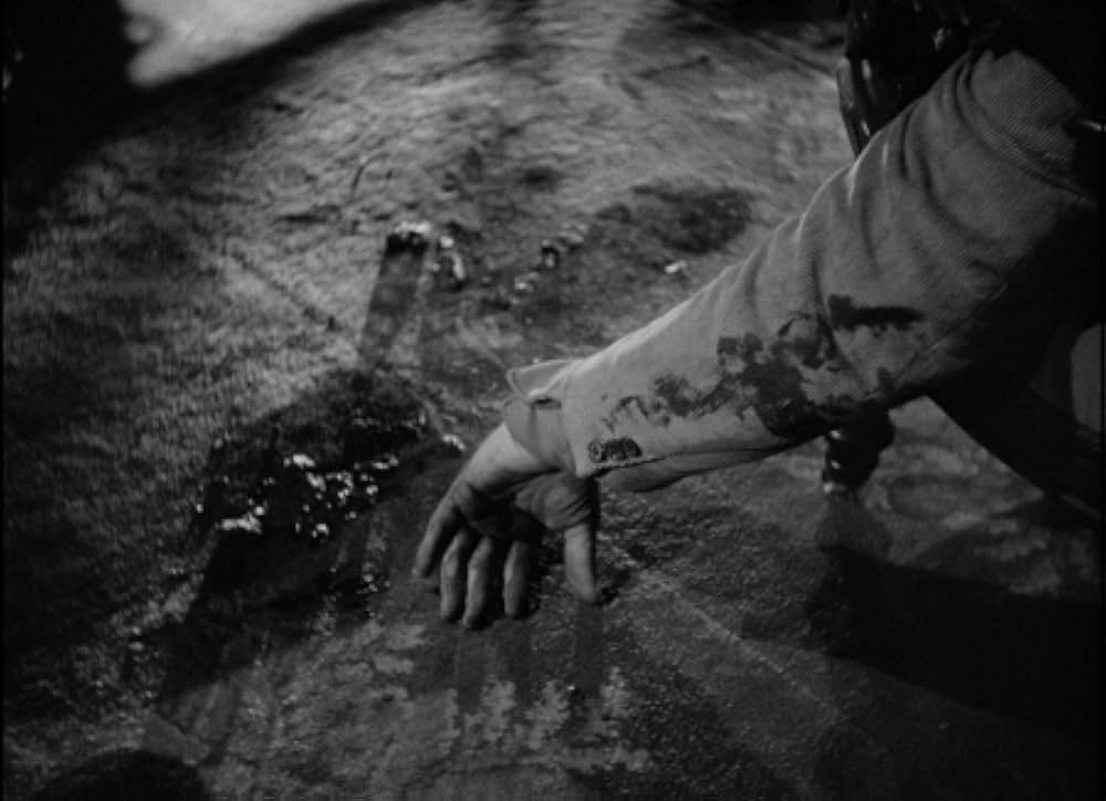 地下室の狂人の画像