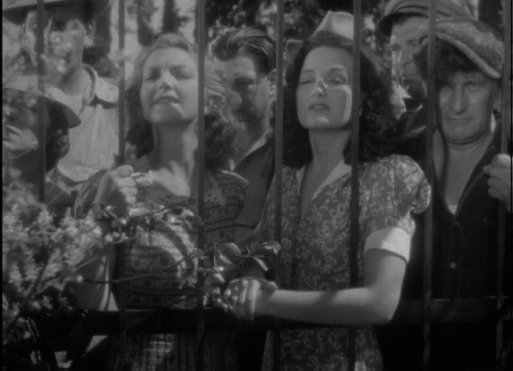 地下室の狂人の画像