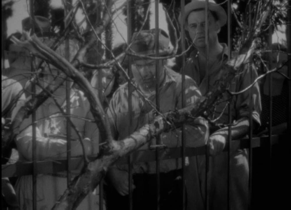 地下室の狂人の画像