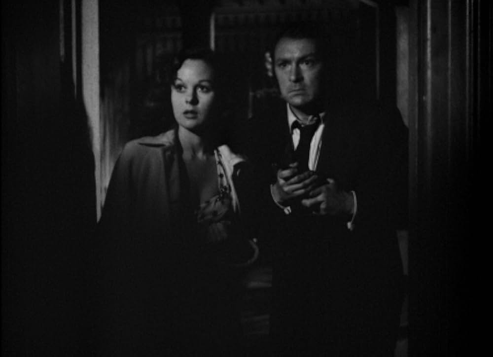 地下室の狂人の画像