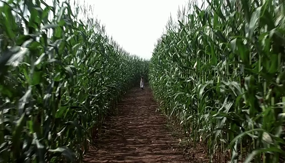 「サイン」アビゲイル・ブレスリンの画像