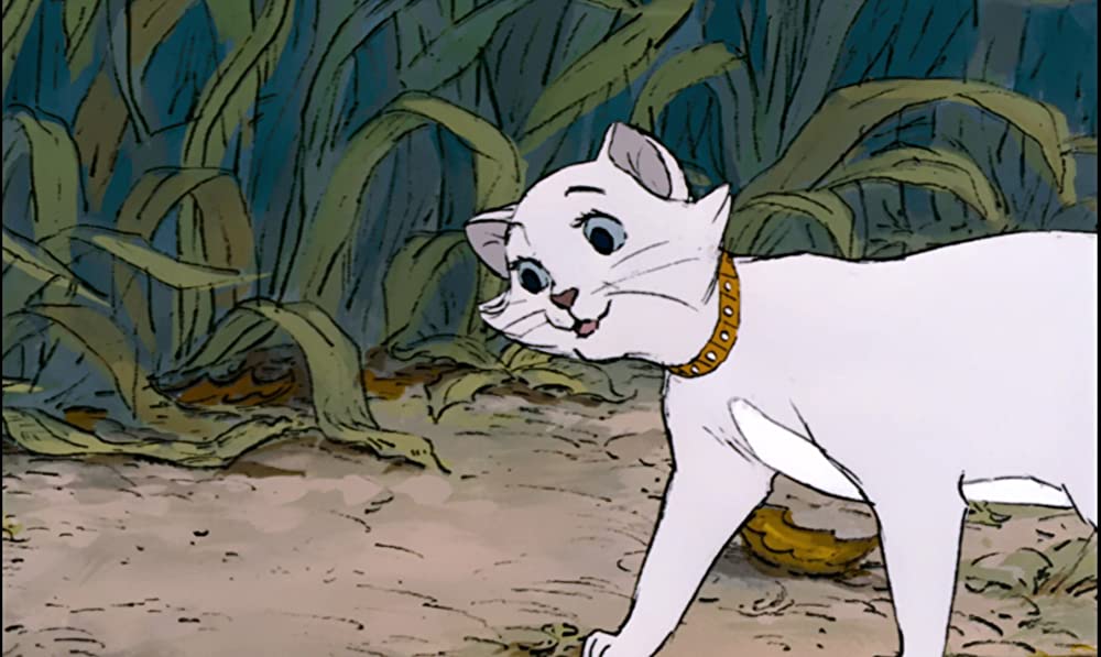 おしゃれキャットの画像