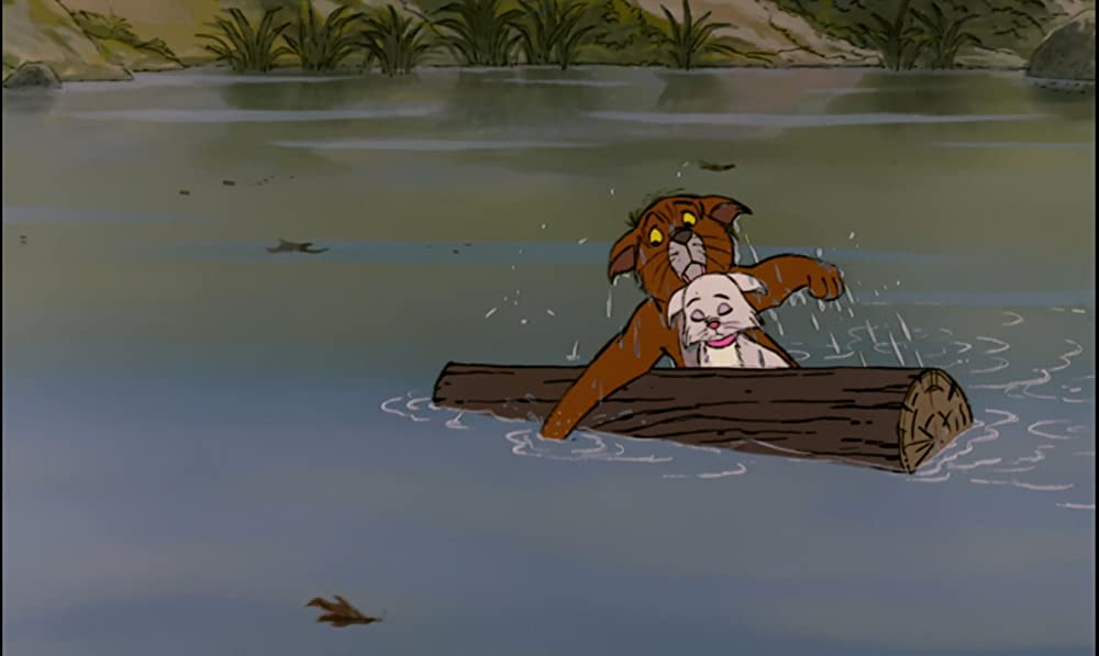 おしゃれキャットの画像