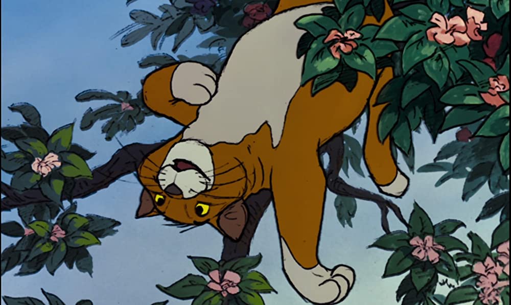 おしゃれキャットの画像