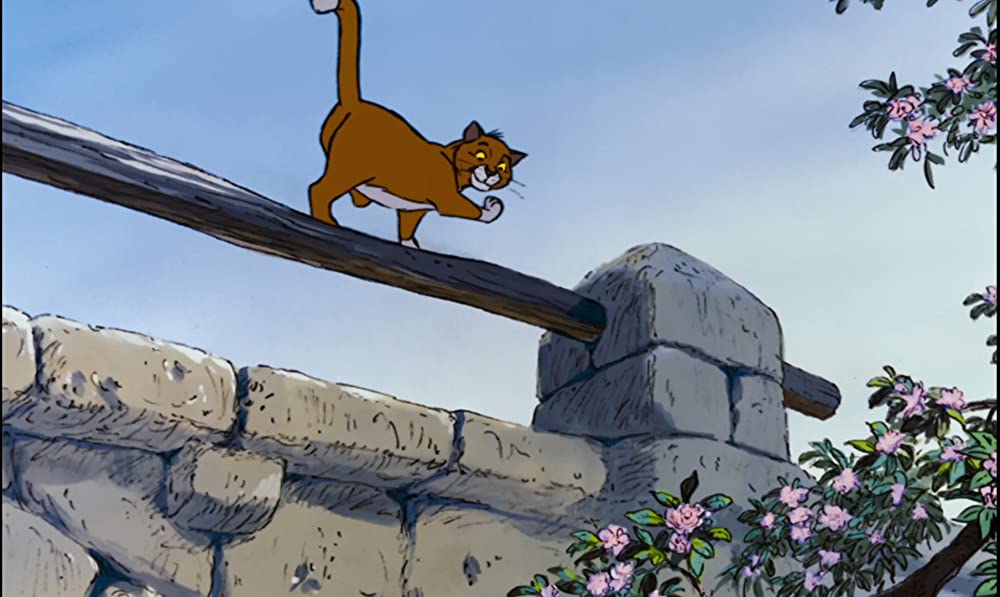 おしゃれキャットの画像