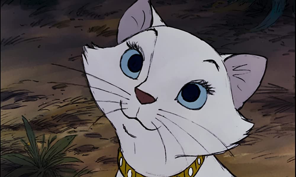 おしゃれキャットの画像