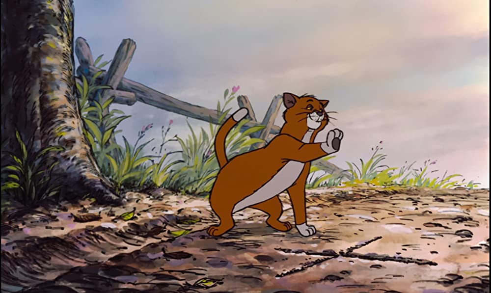 おしゃれキャットの画像