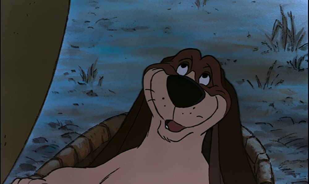 おしゃれキャットの画像