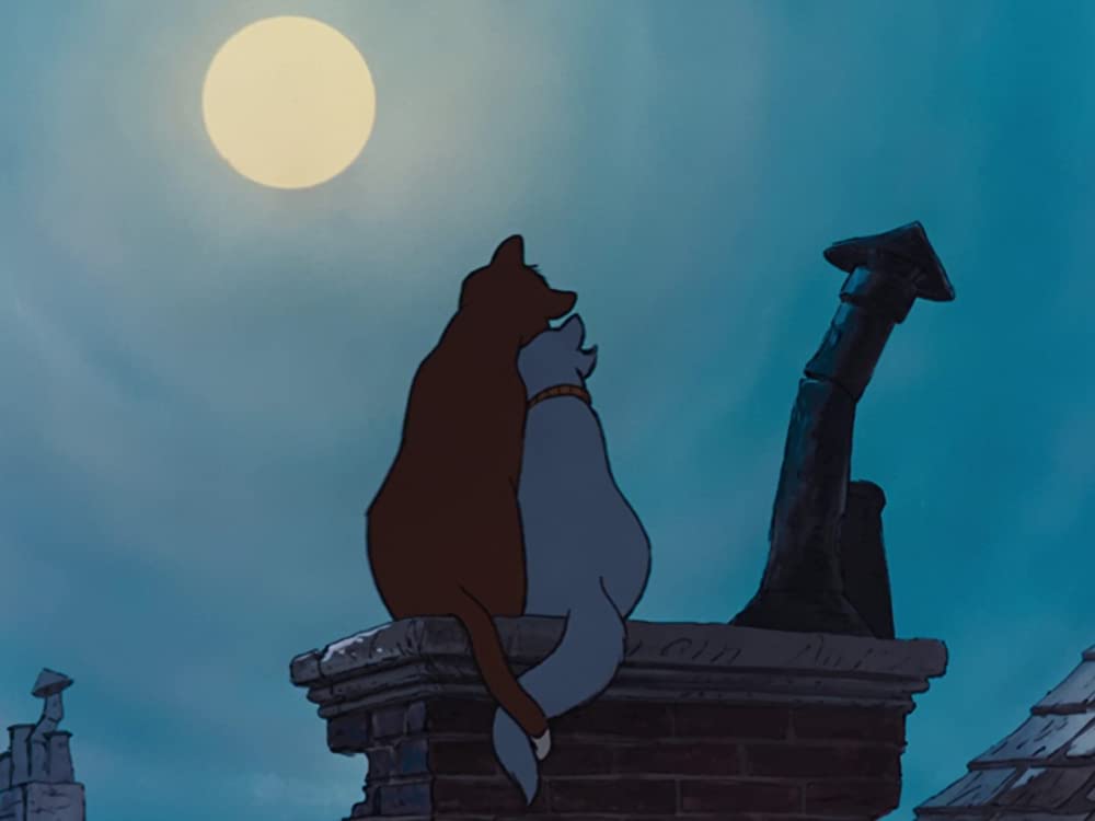 おしゃれキャットの画像