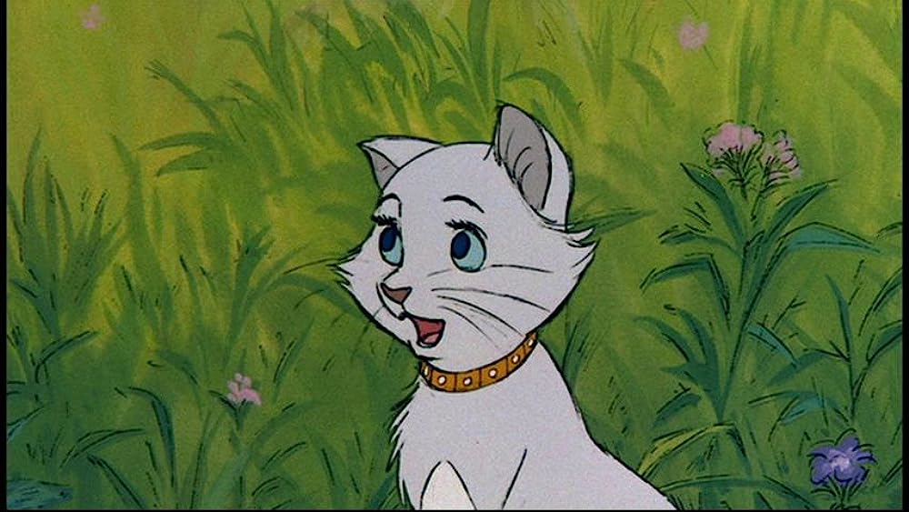 おしゃれキャットの画像