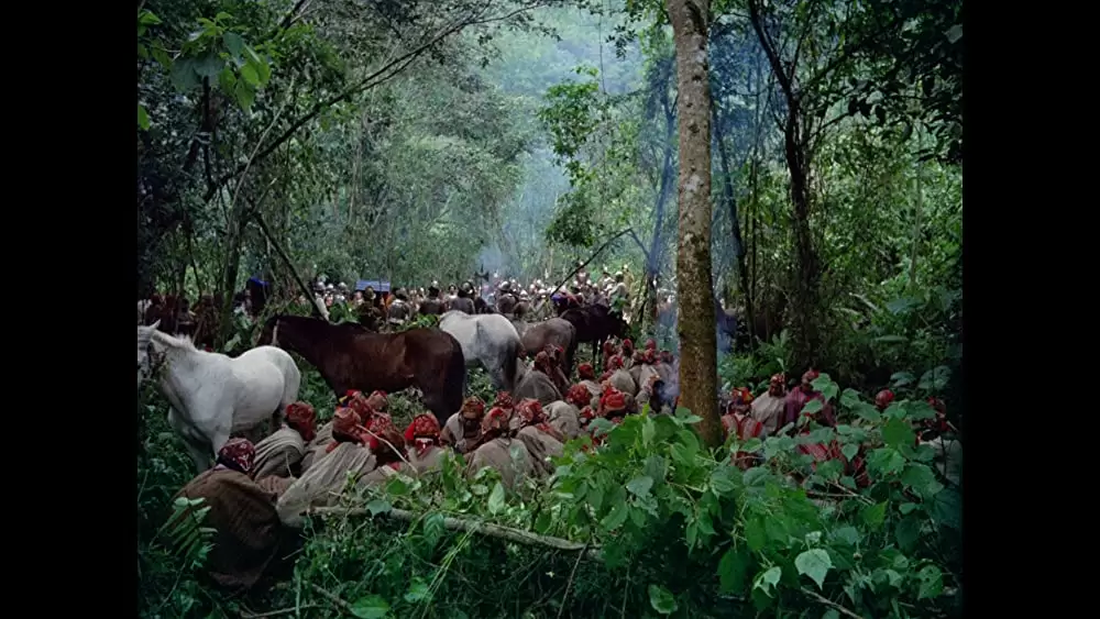 「アギーレ／神の怒り」の画像