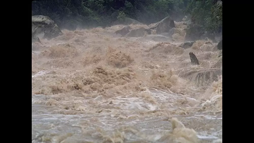 「アギーレ／神の怒り」の画像