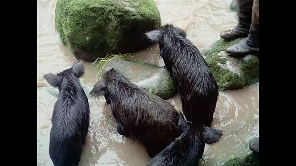 「アギーレ／神の怒り」の画像