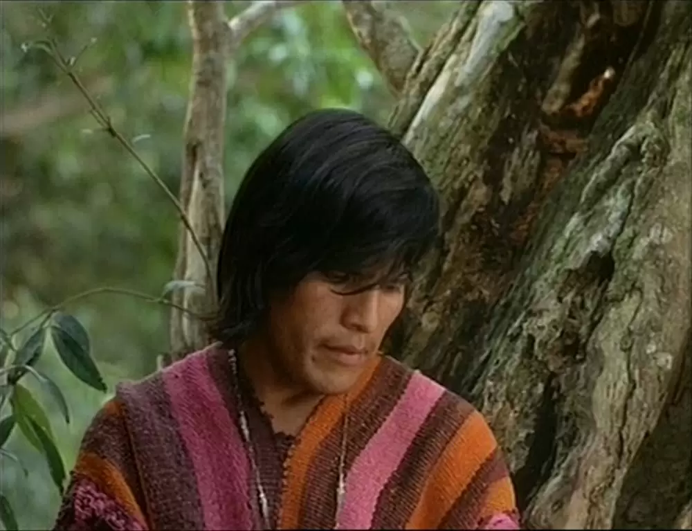 「アギーレ／神の怒り」の画像