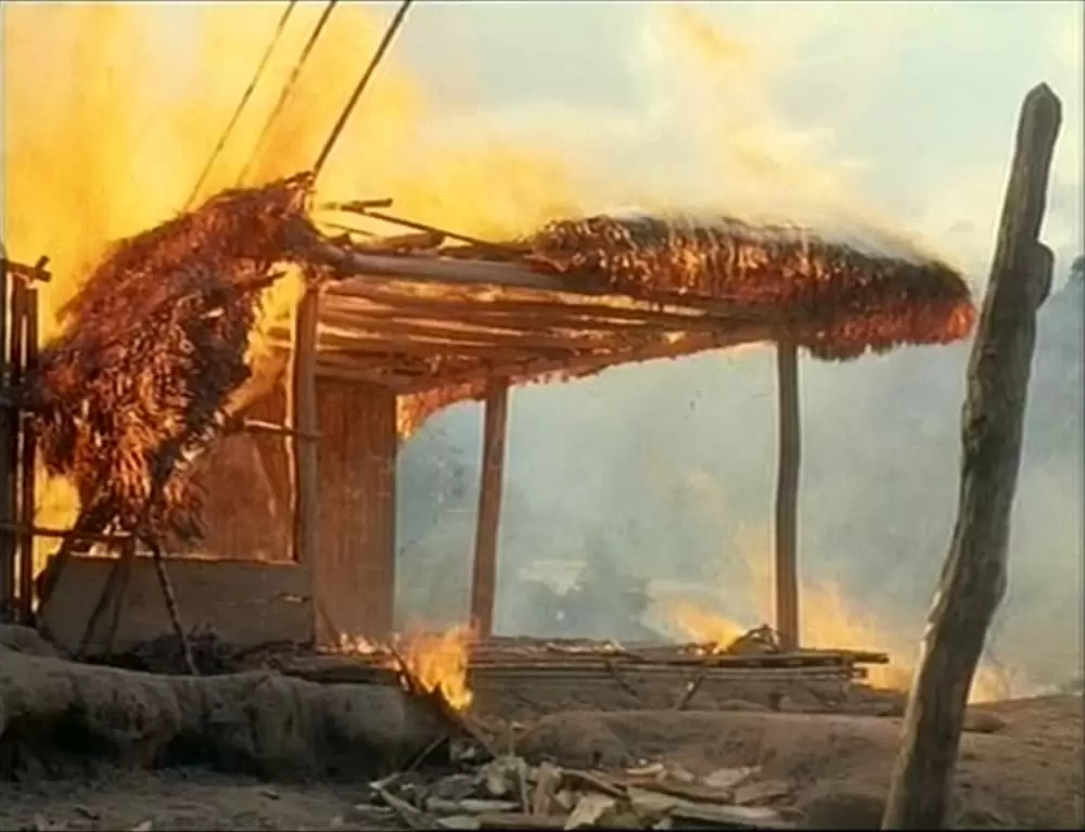 「アギーレ／神の怒り」の画像