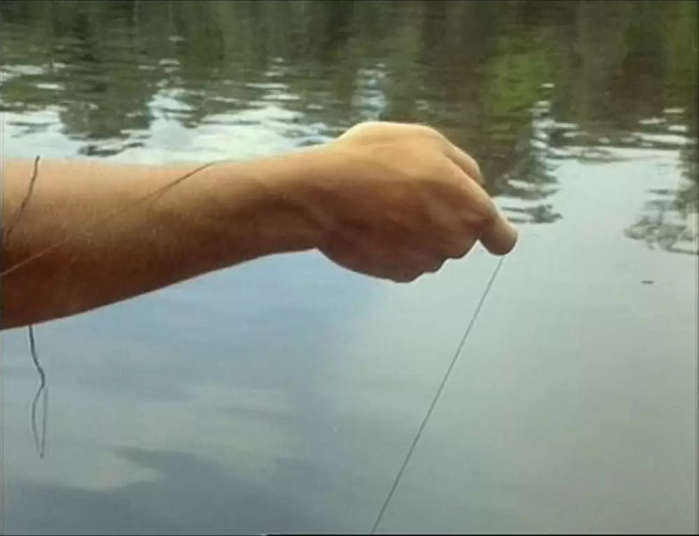 「アギーレ／神の怒り」の画像