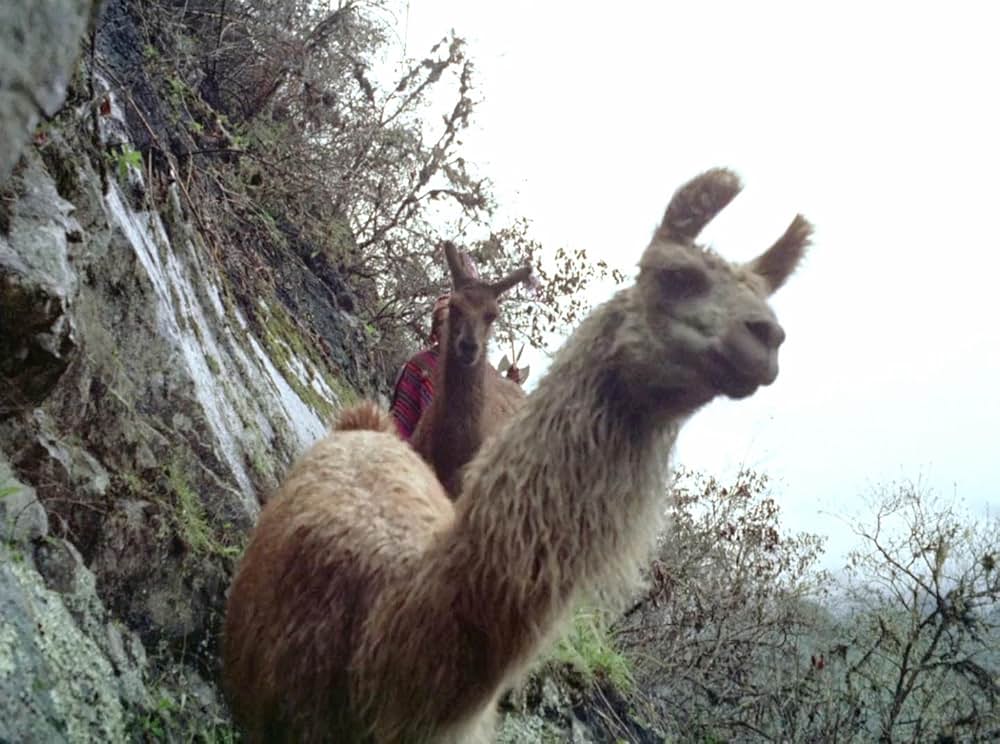 「アギーレ／神の怒り」の画像