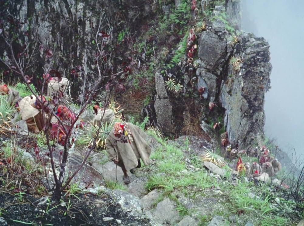 「アギーレ／神の怒り」の画像