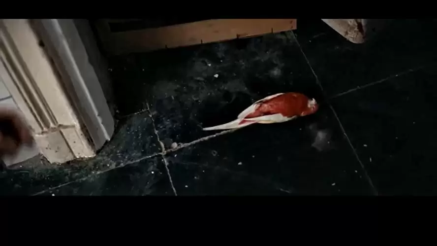 「ウィッシュ・ルーム」の画像