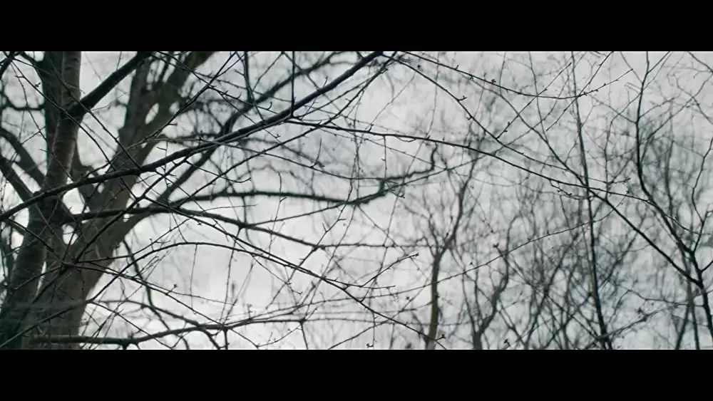 「ウィッシュ・ルーム」の画像