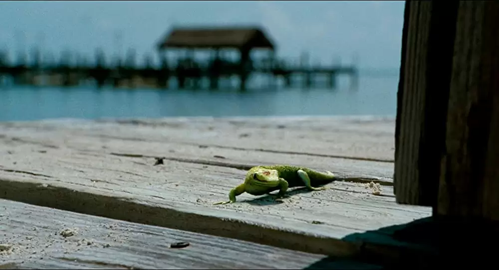 アイ・アム・ナンバー4の画像