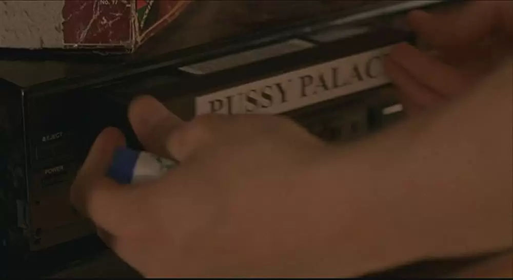 アメリカン・サマー・ストーリー アメリカン・パイ２の画像