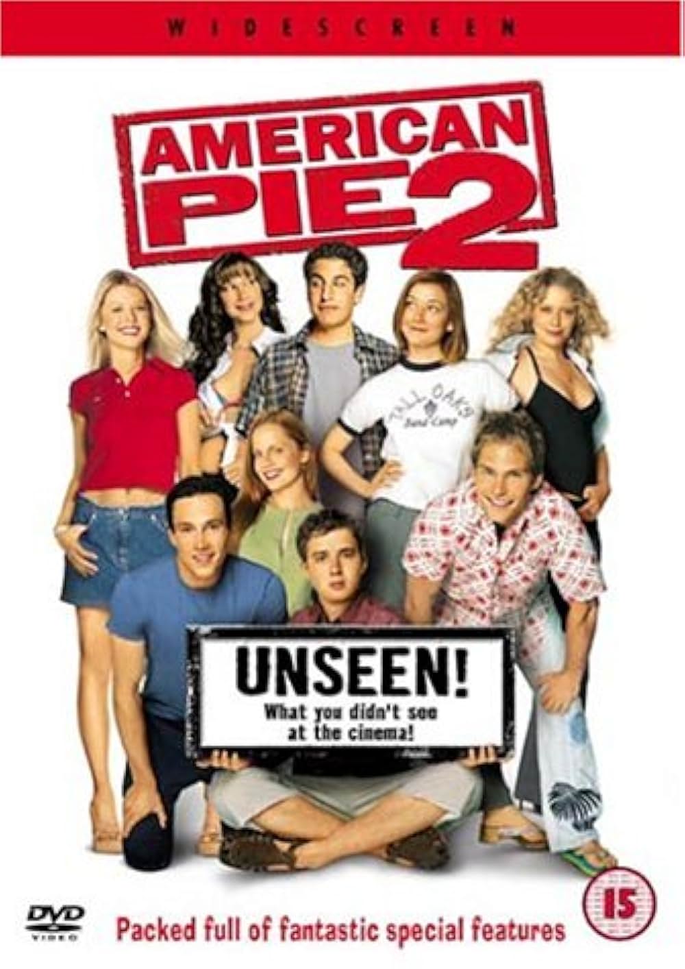 アメリカン・サマー・ストーリー アメリカン・パイ２の画像