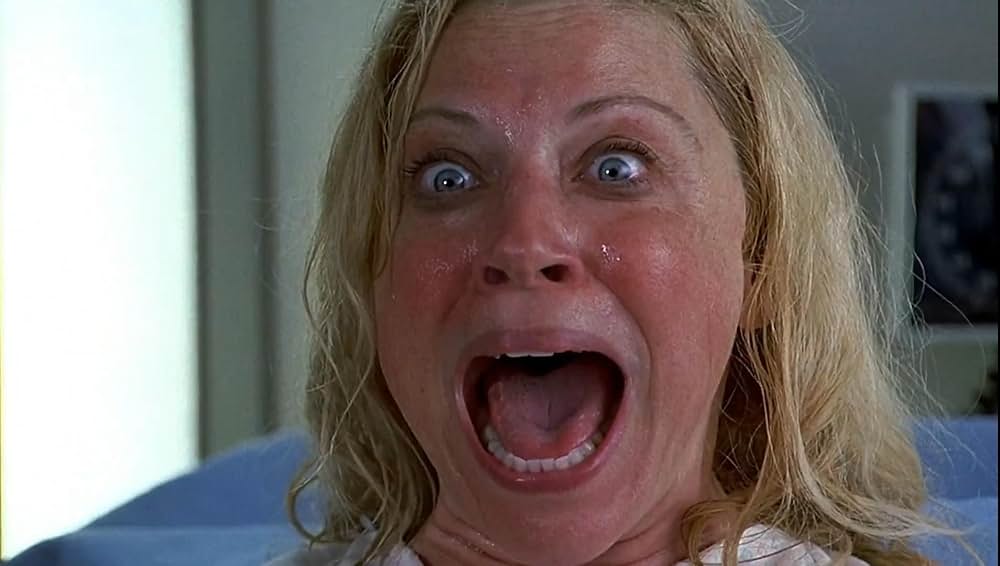 「ミート・ザ・ペアレンツ2」の画像