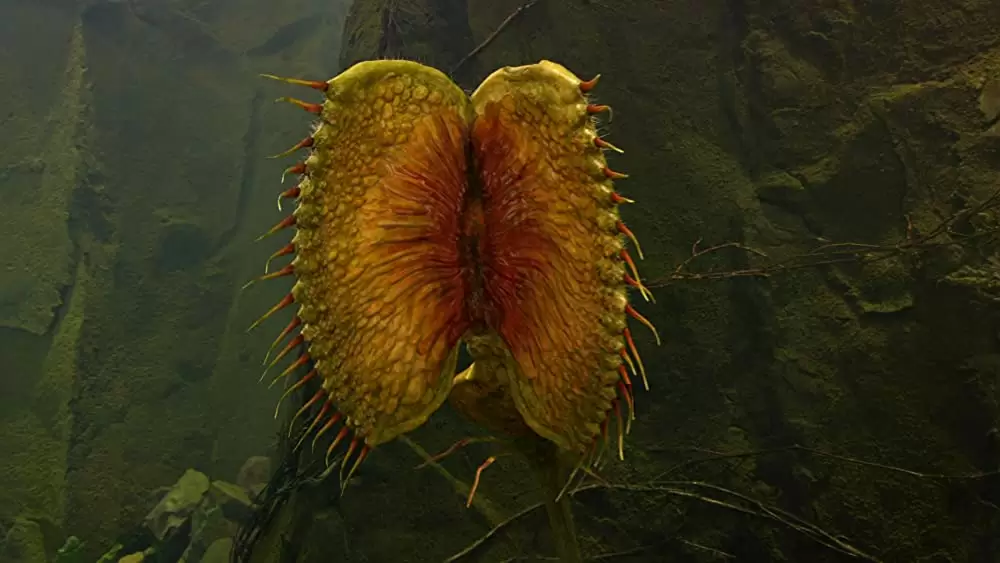 センター・オブ・ジ・アースの画像