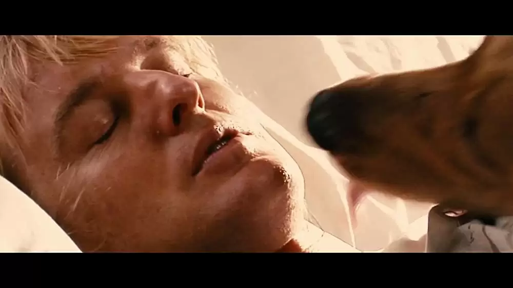 マーリー 世界一おバカな犬が教えてくれたことの画像