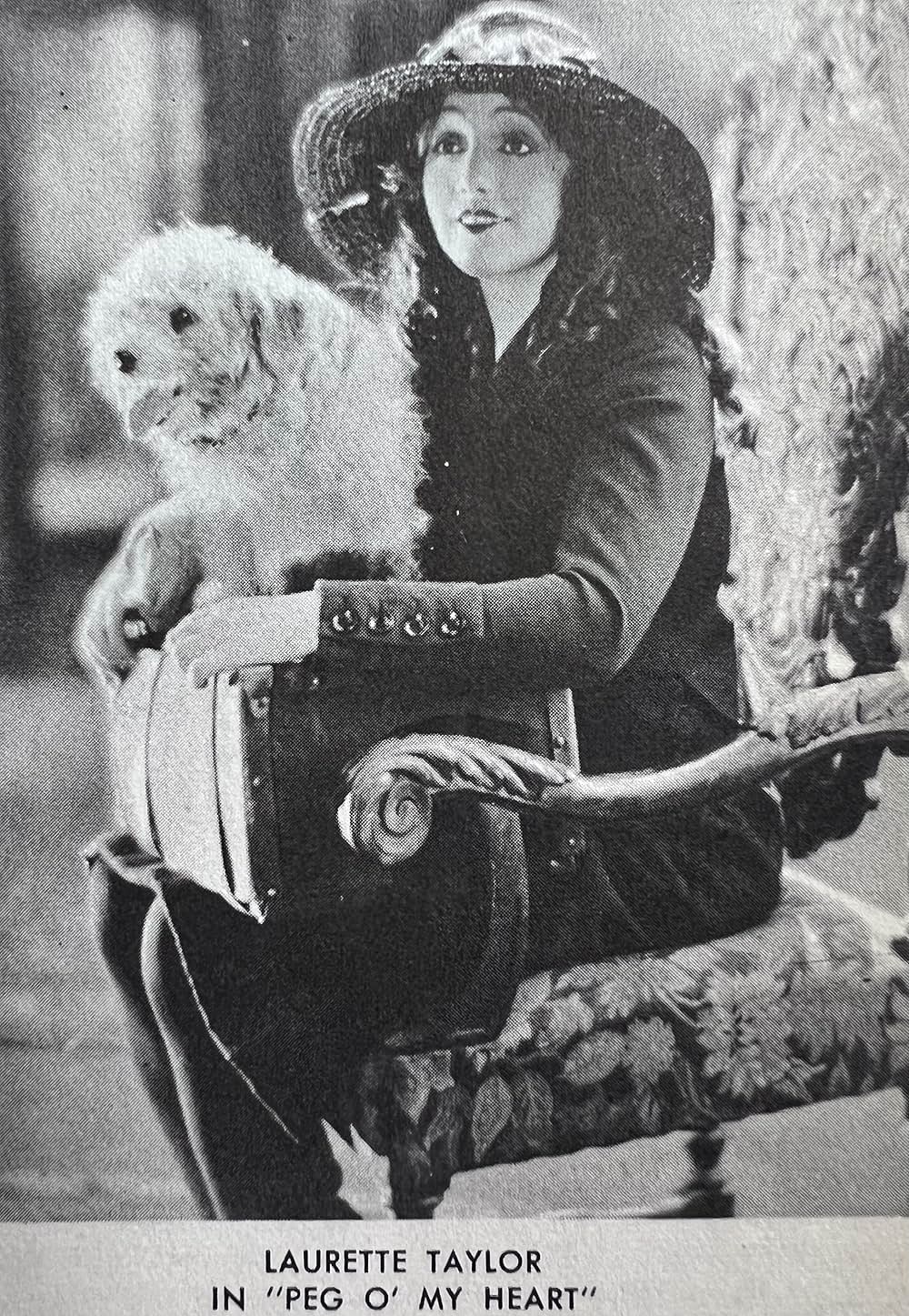 君が名呼べばの画像