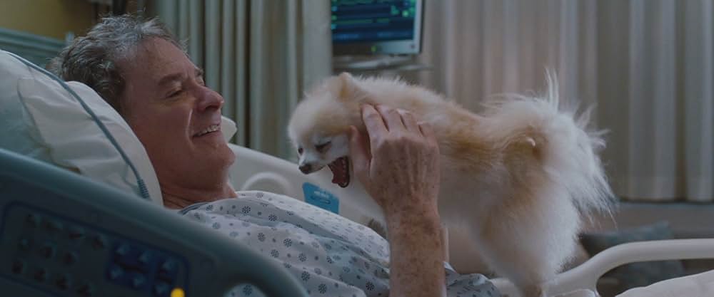 抱きたいカンケイの画像