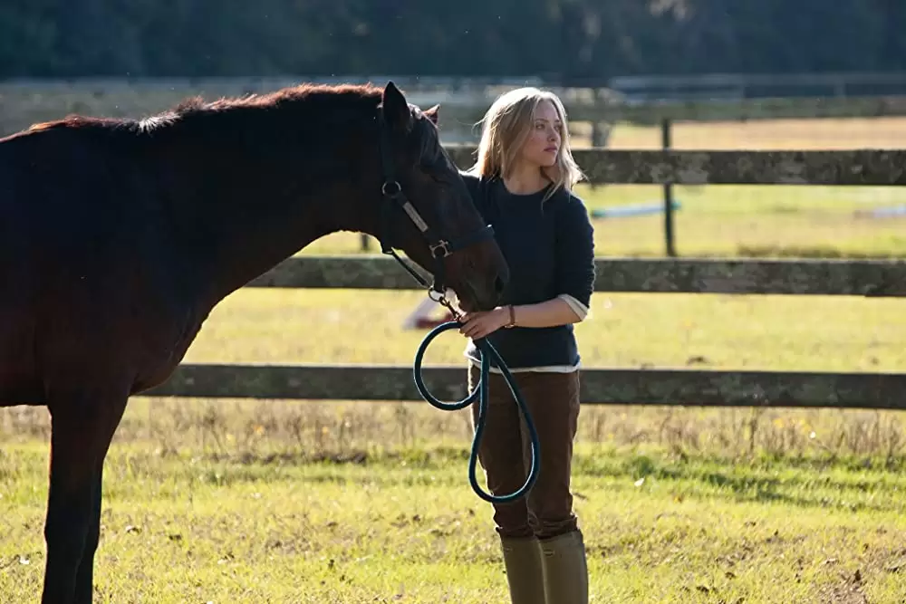 「親愛なるきみへ」アマンダ・セイフライドの画像